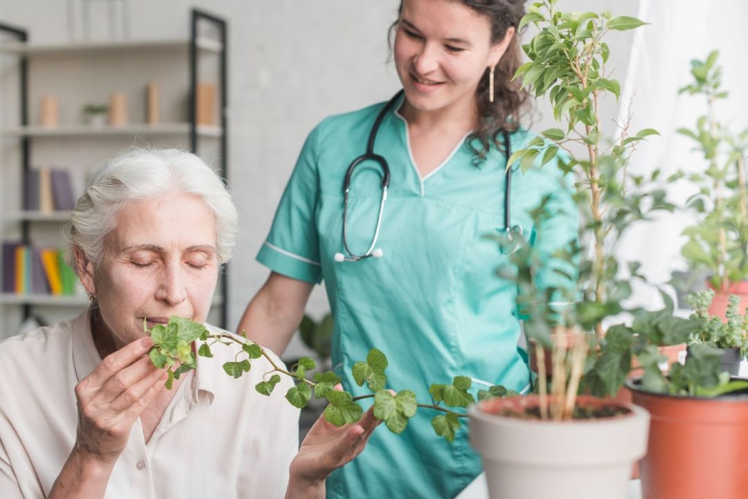 Understanding the NDIS: A Quick Guide
